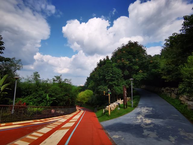 雨過天晴的自貢鳶山公園 雨過天晴的自貢鳶山公園