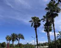 瓊海酒店推薦之【博鰲華豐視家】