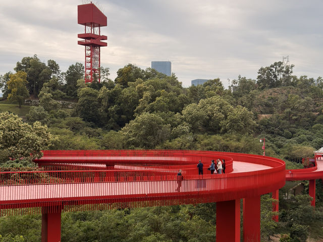 Hongqiao Park a Must to visit in Shenzhen Hongqiao Park a Must to visit in Shenzhen