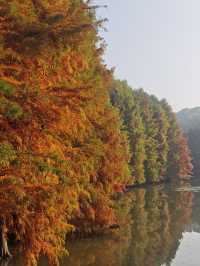 高效打卡經典路線，親測不踩雷！