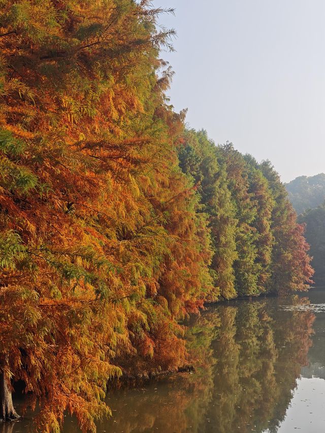 高效打卡經典路線，親測不踩雷！