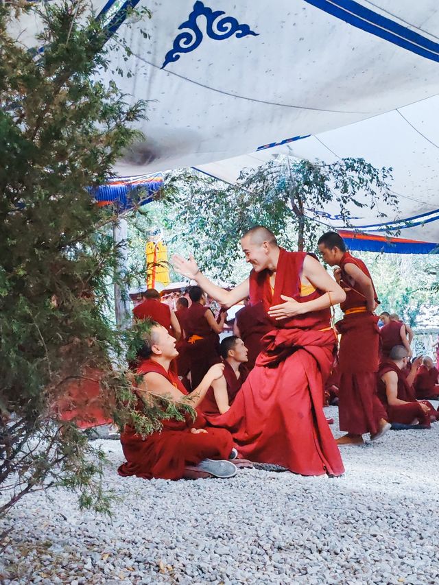 拉薩午後必衝色拉寺的辯經和日落 拉薩午後必衝色拉寺的辯經和日落