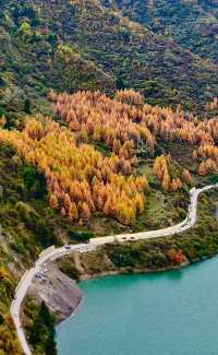 平武天母湖“百里彩林走廊”