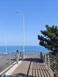 青島最美山海公路!618路環海攻略來啦