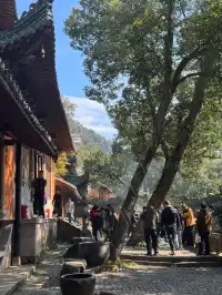 赴約山海｜台州自駕行程記錄（寵物友好版）