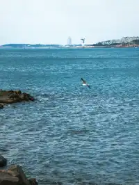 邊旅遊邊攝影真的會很上頭,青島攻略