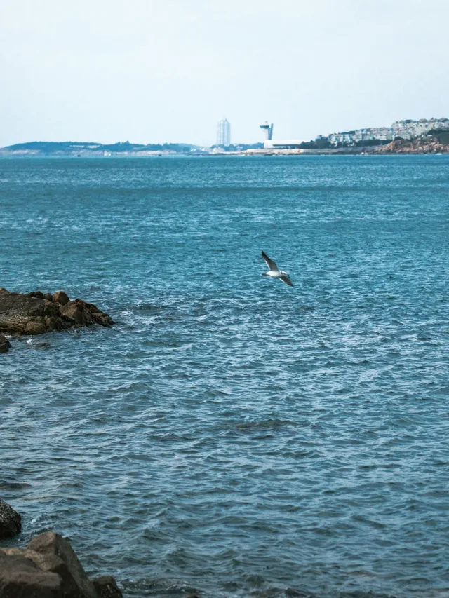 邊旅遊邊攝影真的會很上頭,青島攻略 邊旅遊邊攝影真的會很上頭,青島攻略