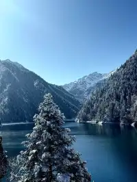 11.20九寨溝現狀，真心提醒未出行的寶