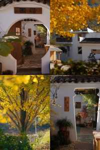 覆卮山小眾絕美民宿