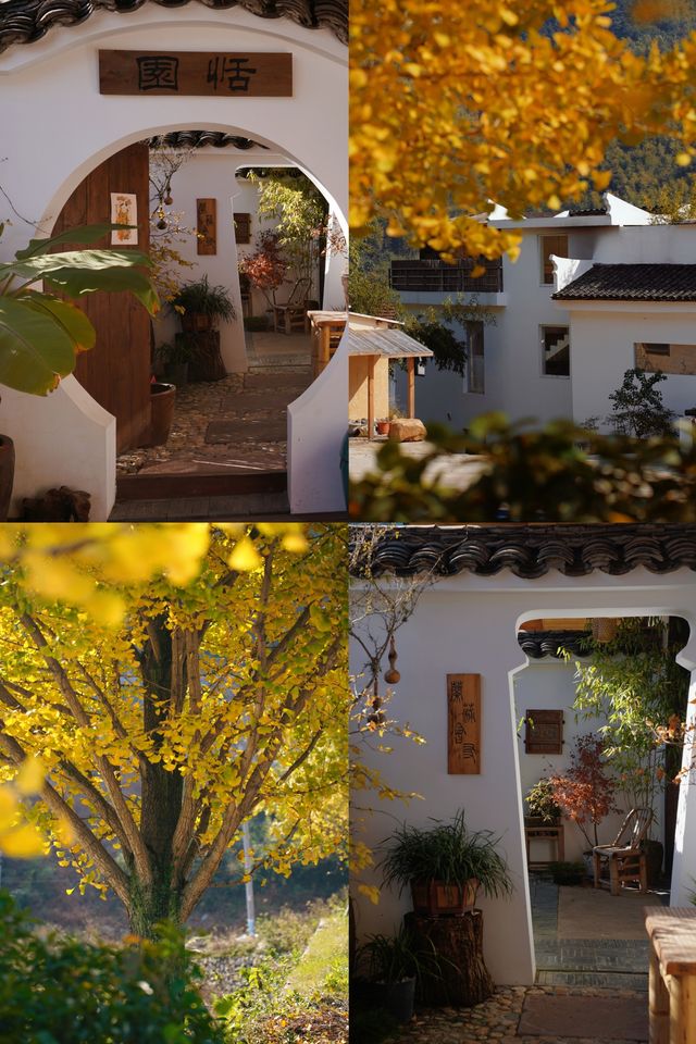 覆卮山小眾絕美民宿 覆卮山小眾絕美民宿