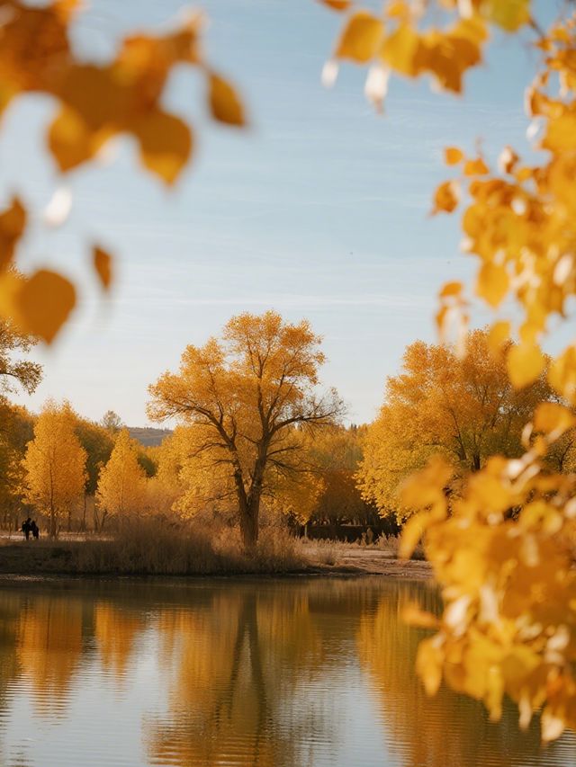 金塔胡楊林親子行|帶娃解鎖秋日胡楊秘境 金塔胡楊林親子行|帶娃解鎖秋日胡楊秘境