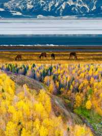 新疆10日遊保姆級攻略，帶你玩轉北疆！