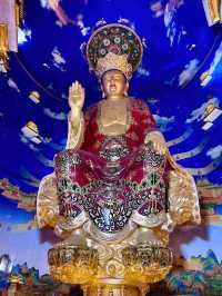 講真！花一百多去看個大金佛值不值？大實話全在這