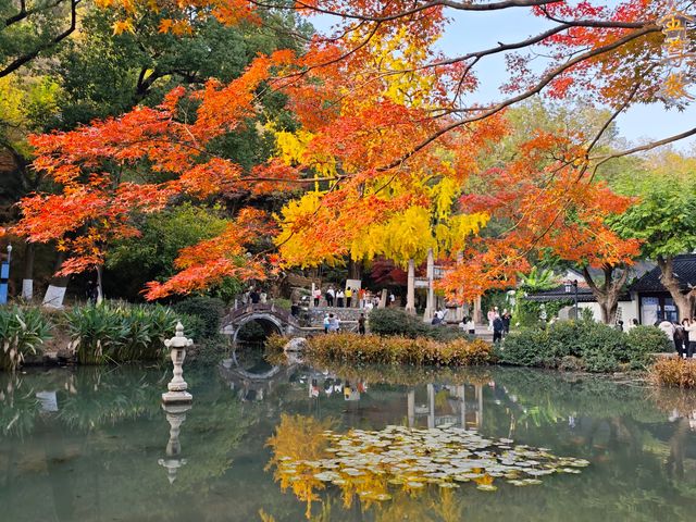 坐著11號線去看秋(上海周邊遊) 坐著11號線去看秋(上海周邊遊)