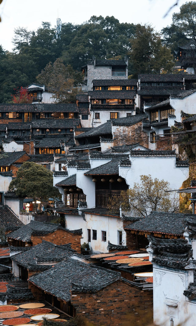 誰懂啊！篁嶺的絕美夜景才是YYDS