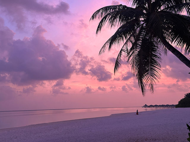 A Perfect Maldives Experience A Perfect Maldives Experience