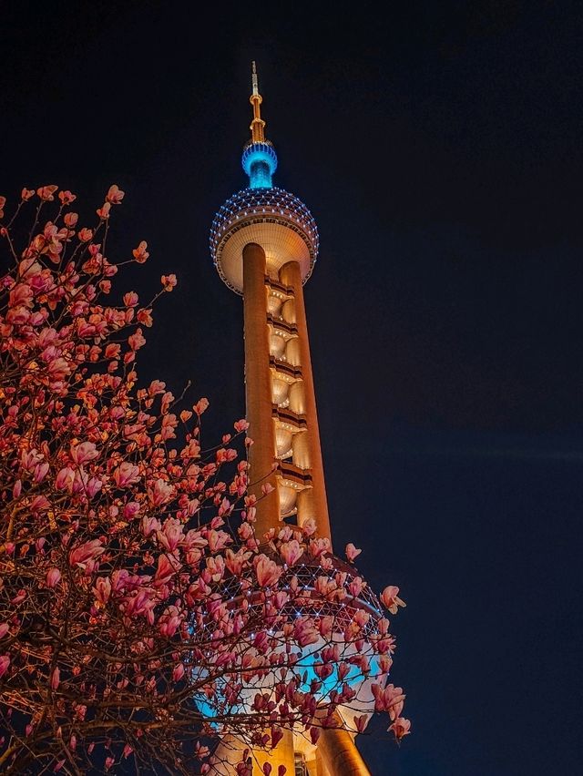 Почему Шанхай весной прекраснее всего 🌸 Почему Шанхай весной прекраснее всего 🌸