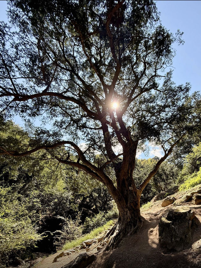 浙江諸暨走馬崗徒步｜小眾秘境人少景美