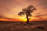 昌吉等地10日遊 保姆級攻略來啦