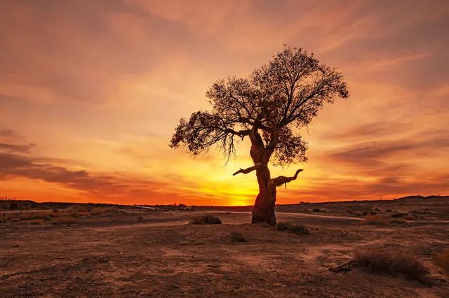 昌吉等地10日遊 保姆級攻略來啦
