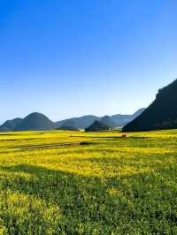 峰叢花田醉我心