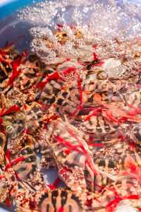 涠洲島|原來好玩好吃的都在淡季~