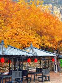 邢台佛照山|秋日寶藏免費景區親子遊玩好去處