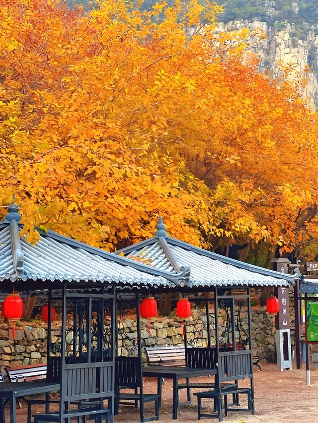 邢台佛照山|秋日寶藏免費景區親子遊玩好去處 邢台佛照山|秋日寶藏免費景區親子遊玩好去處