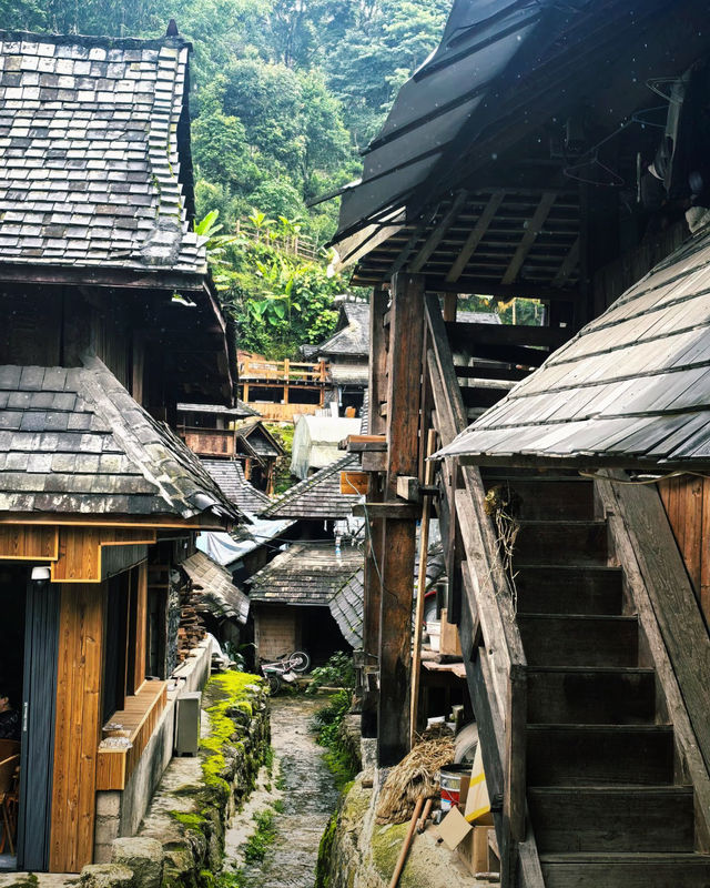 景邁山｜雲南最後的秘境，雲海古寨治癒一切