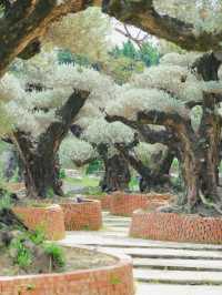 原來佛山都有中山公園?