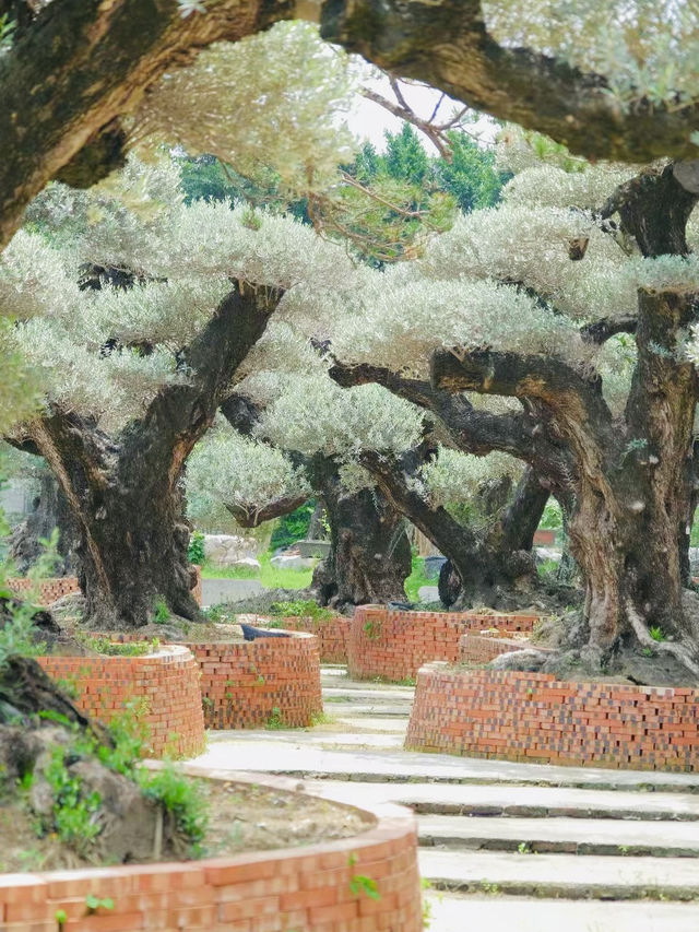 原來佛山都有中山公園? 原來佛山都有中山公園?