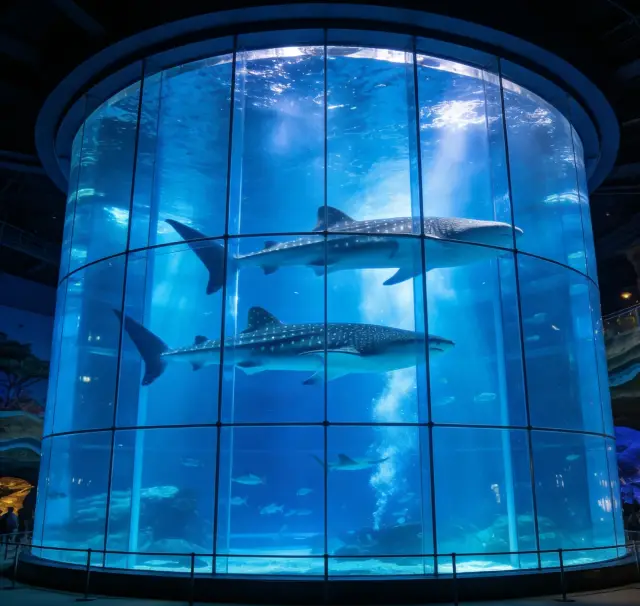 珠海長隆親子遊攻略｜2天1晚玩透海洋王國！