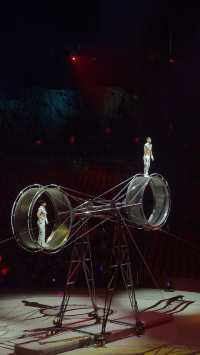 上海野生動物園暢玩一日遊 週六版