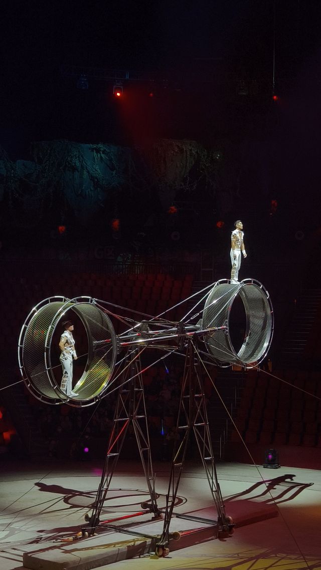 上海野生動物園暢玩一日遊 週六版