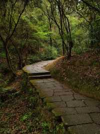 冬日要去南平4日遊攻略來啦