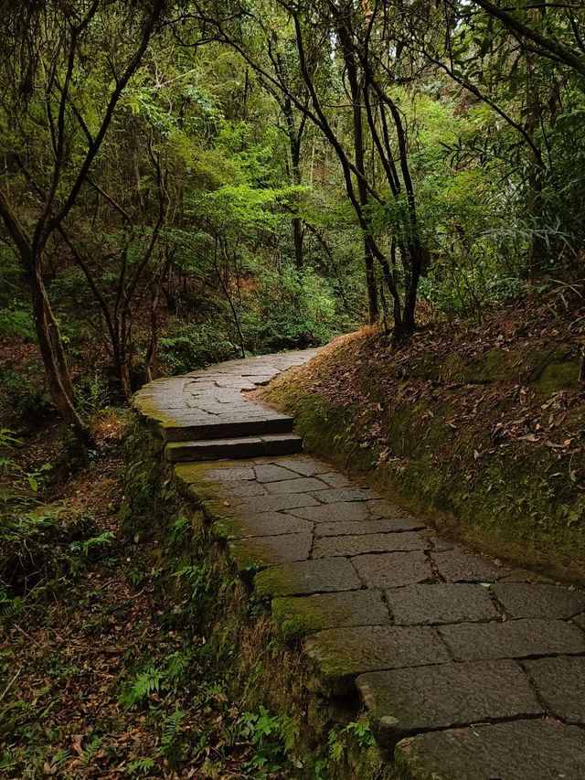 冬日要去南平4日遊攻略來啦 冬日要去南平4日遊攻略來啦