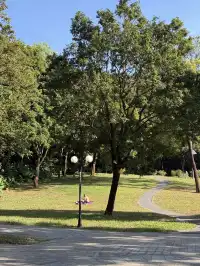 深圳的秋天 請來蓮花山公園大口吸氧吧