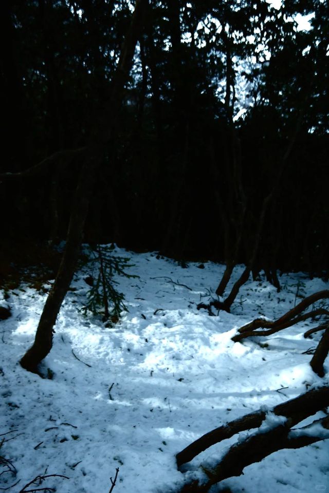 官鵝溝冬季 1 日遊冰瀑雪景全攻略