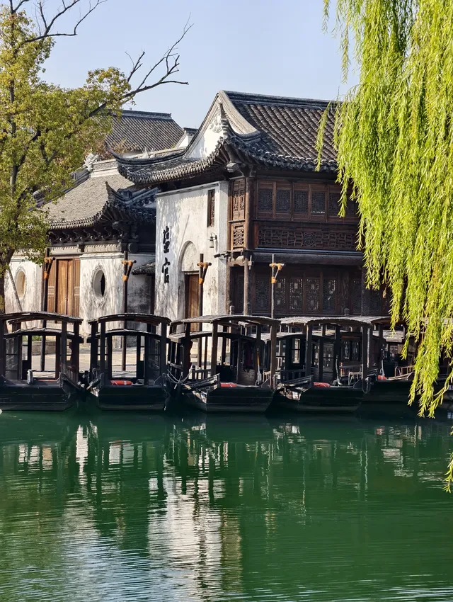 看我用手機記錄鹽官最濃的秋色附機位版 看我用手機記錄鹽官最濃的秋色附機位版