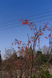 記錄在西安非常喜歡的一些地方