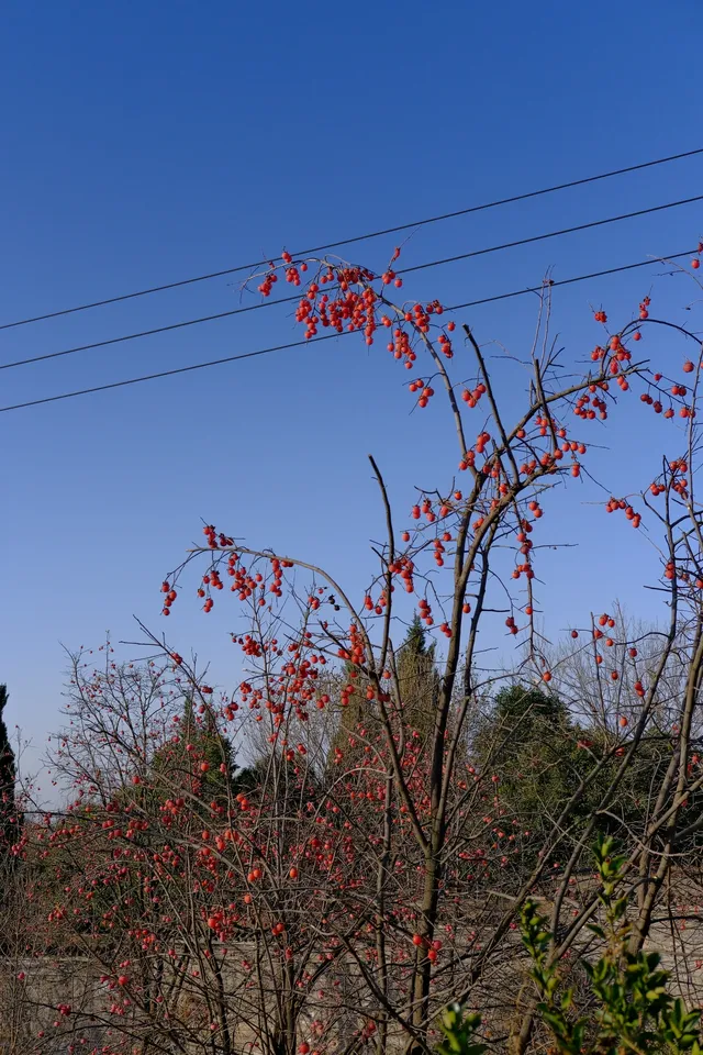 記錄在西安非常喜歡的一些地方 記錄在西安非常喜歡的一些地方
