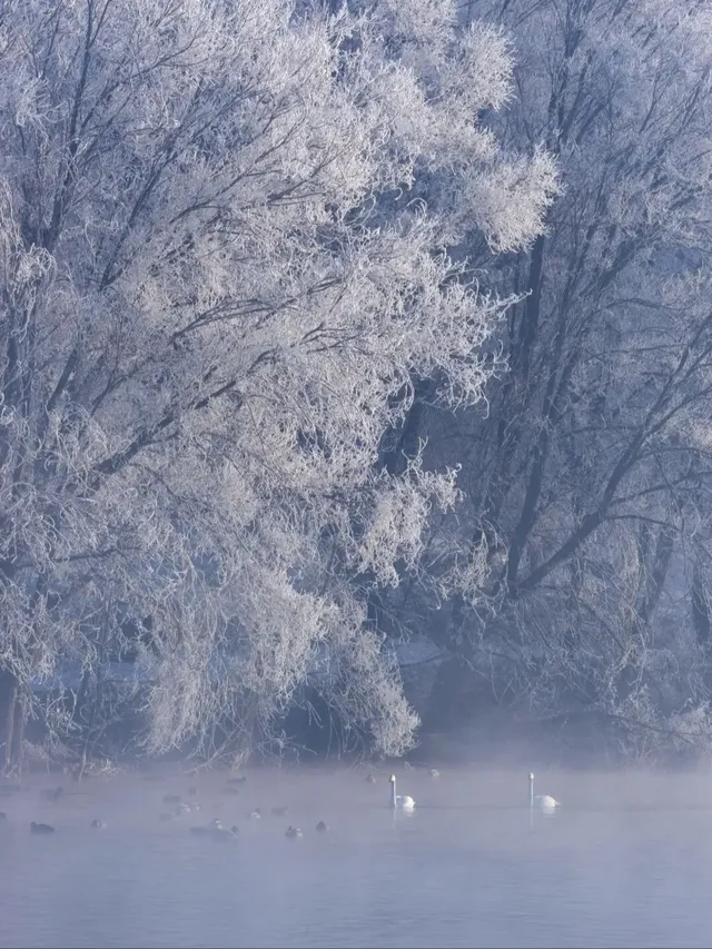 冰雪之約冬季新疆這幾個地方美到犯規！