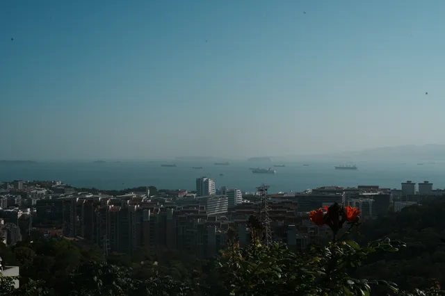 廈門植物園｜又是能量滿滿的一天！