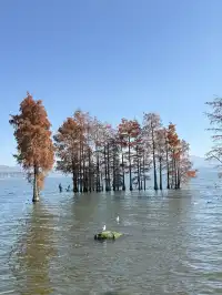 大理旅行 ｜龍龕碼頭入口這個機位太美了吧