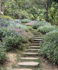 南寧青秀山旅遊拍照打卡地