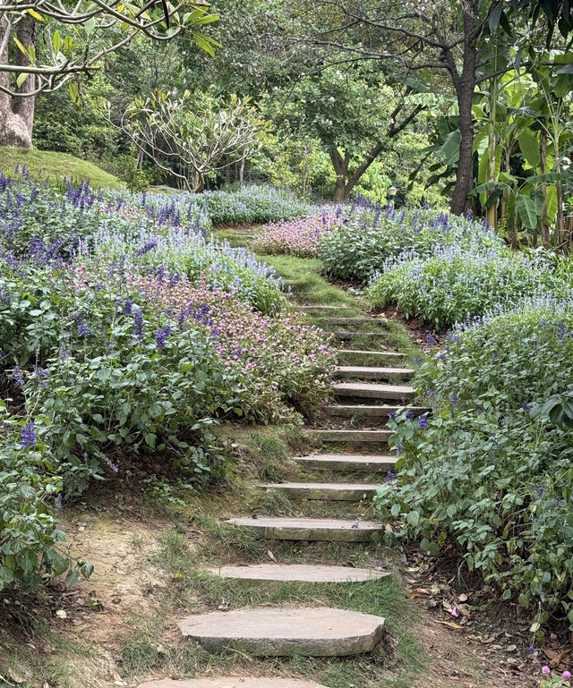 南寧青秀山旅遊拍照打卡地 南寧青秀山旅遊拍照打卡地