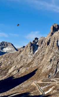 甘南等地6日遊攻略已備好快收藏