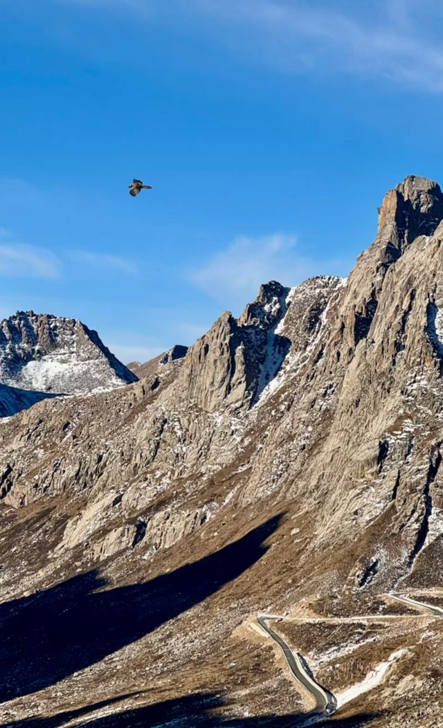 甘南等地6日遊攻略已備好快收藏 甘南等地6日遊攻略已備好快收藏