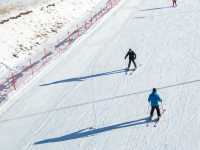 Skip Iceland! Genhe’s Powder Snow + Dancing Aurora = Winter’s Wildest Dream 🌌