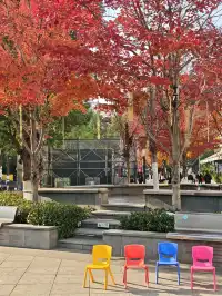 此時，武漢東湖美得不像話免費停車！